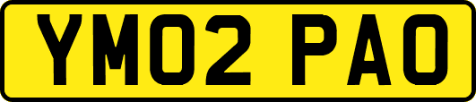 YM02PAO
