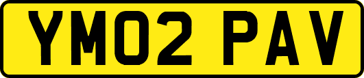 YM02PAV