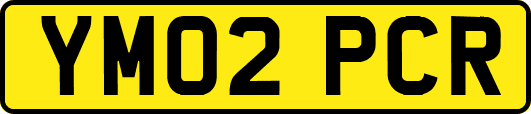 YM02PCR