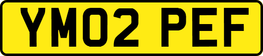 YM02PEF