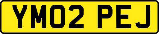 YM02PEJ