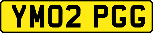 YM02PGG
