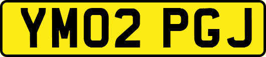 YM02PGJ