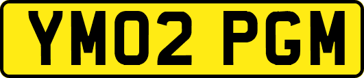 YM02PGM