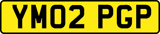 YM02PGP