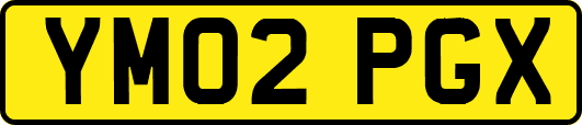 YM02PGX