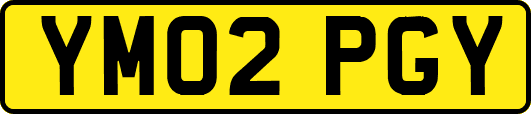 YM02PGY