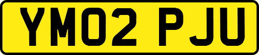 YM02PJU