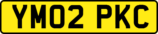 YM02PKC