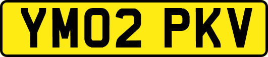 YM02PKV
