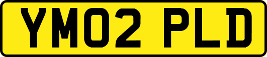 YM02PLD