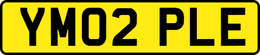 YM02PLE