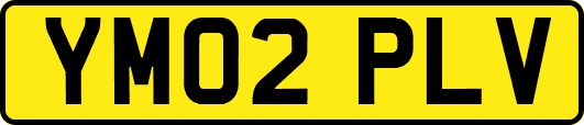 YM02PLV