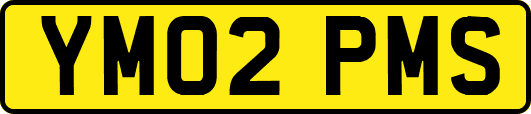 YM02PMS