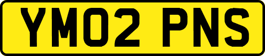 YM02PNS