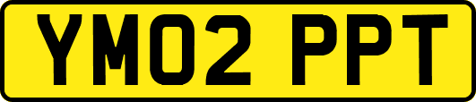 YM02PPT