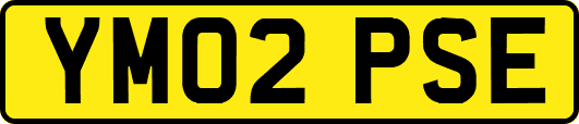 YM02PSE