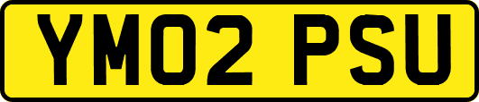 YM02PSU