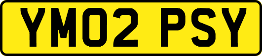 YM02PSY
