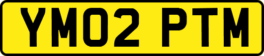 YM02PTM