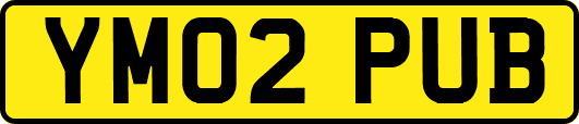 YM02PUB