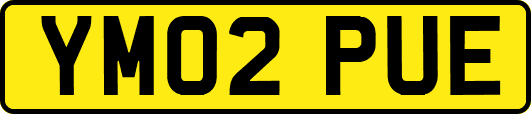 YM02PUE