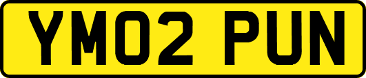 YM02PUN
