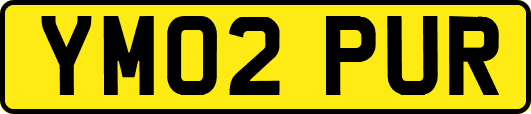 YM02PUR