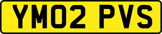 YM02PVS