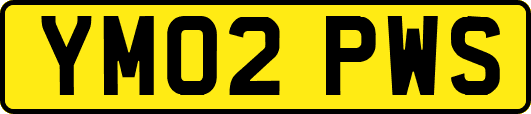 YM02PWS