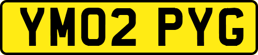YM02PYG