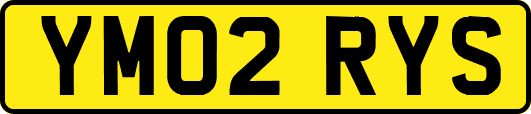 YM02RYS