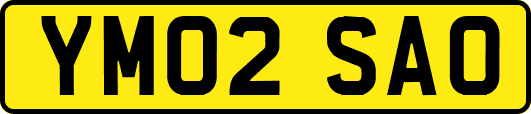 YM02SAO