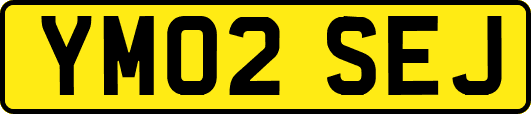 YM02SEJ