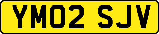 YM02SJV