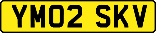 YM02SKV