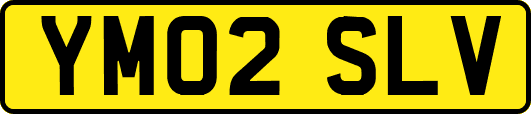 YM02SLV