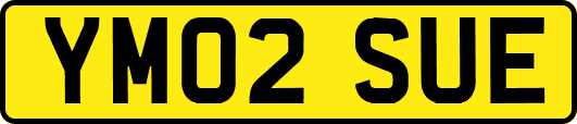YM02SUE