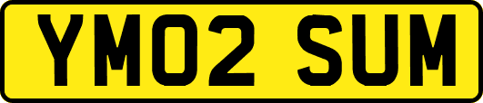 YM02SUM