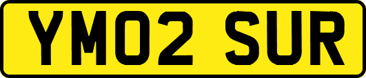 YM02SUR