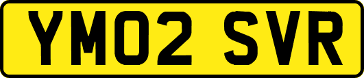YM02SVR