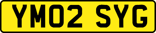 YM02SYG