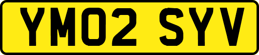 YM02SYV