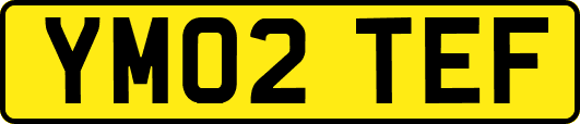 YM02TEF