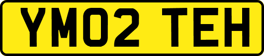 YM02TEH