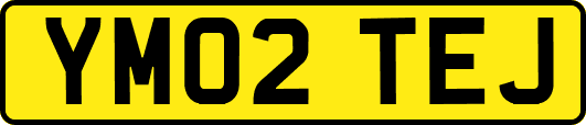 YM02TEJ