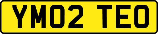 YM02TEO