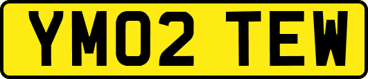 YM02TEW