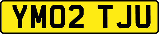 YM02TJU