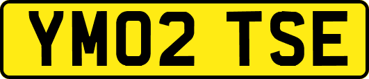 YM02TSE